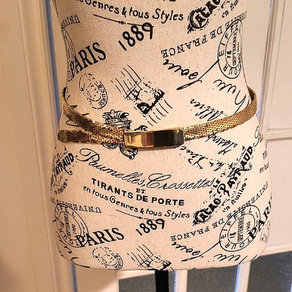 Gold Belt Accessory. Size XS/S. Adjustable. Great Condition. - Picture 1 of 11